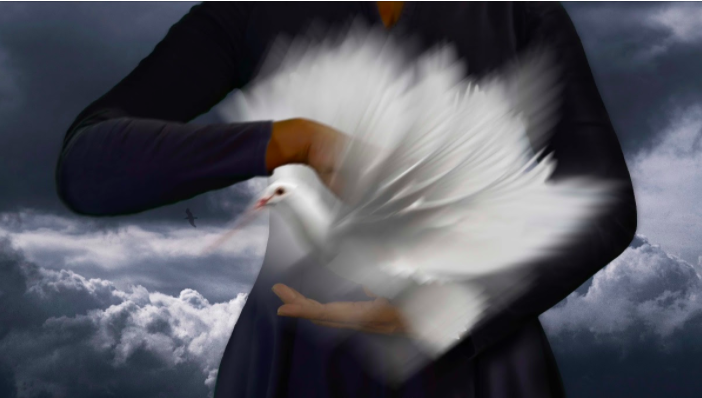 Catch The Bird Who Won't Fly Catch The Bird Who Won't Fly