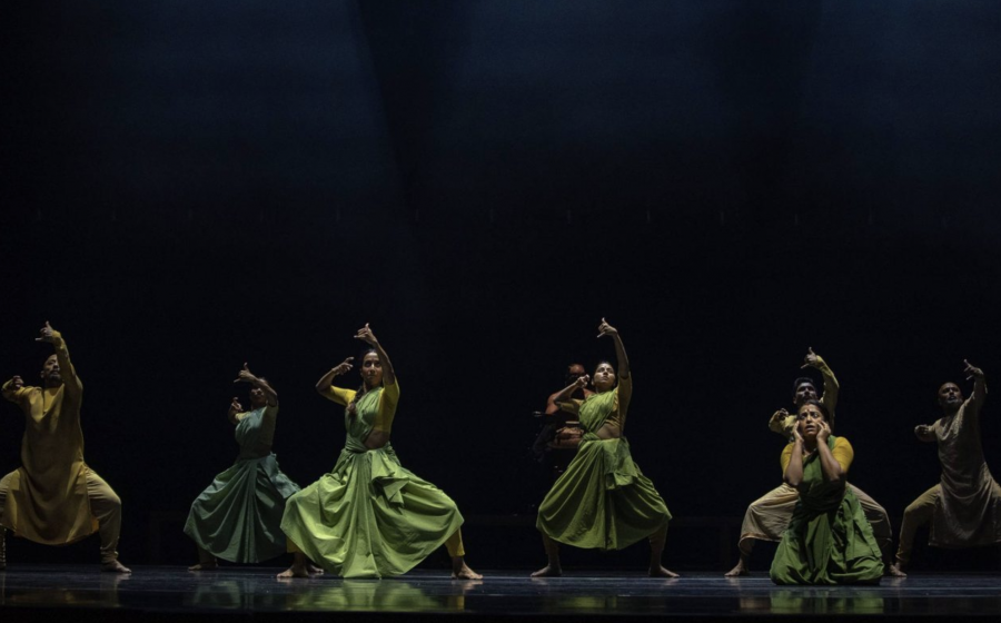 Gigenis | Courtesy: Safarti