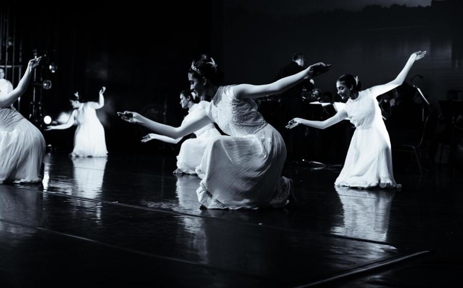 Swan Lake Re-imagined | Image: Courtesy SBDC